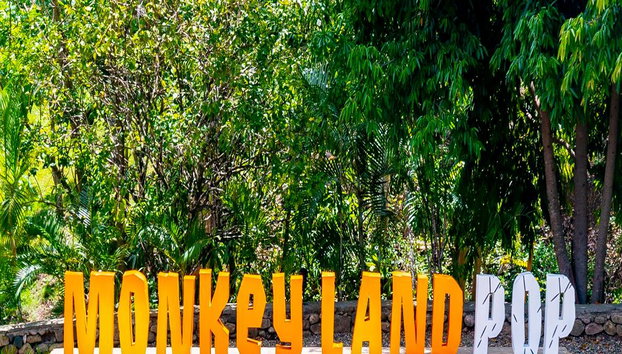 Monkeyland – Half-Day Guided Tour with Transfers - Photo 4